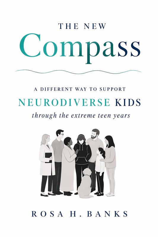 The New Compass by Rosa H. Banks — book cover