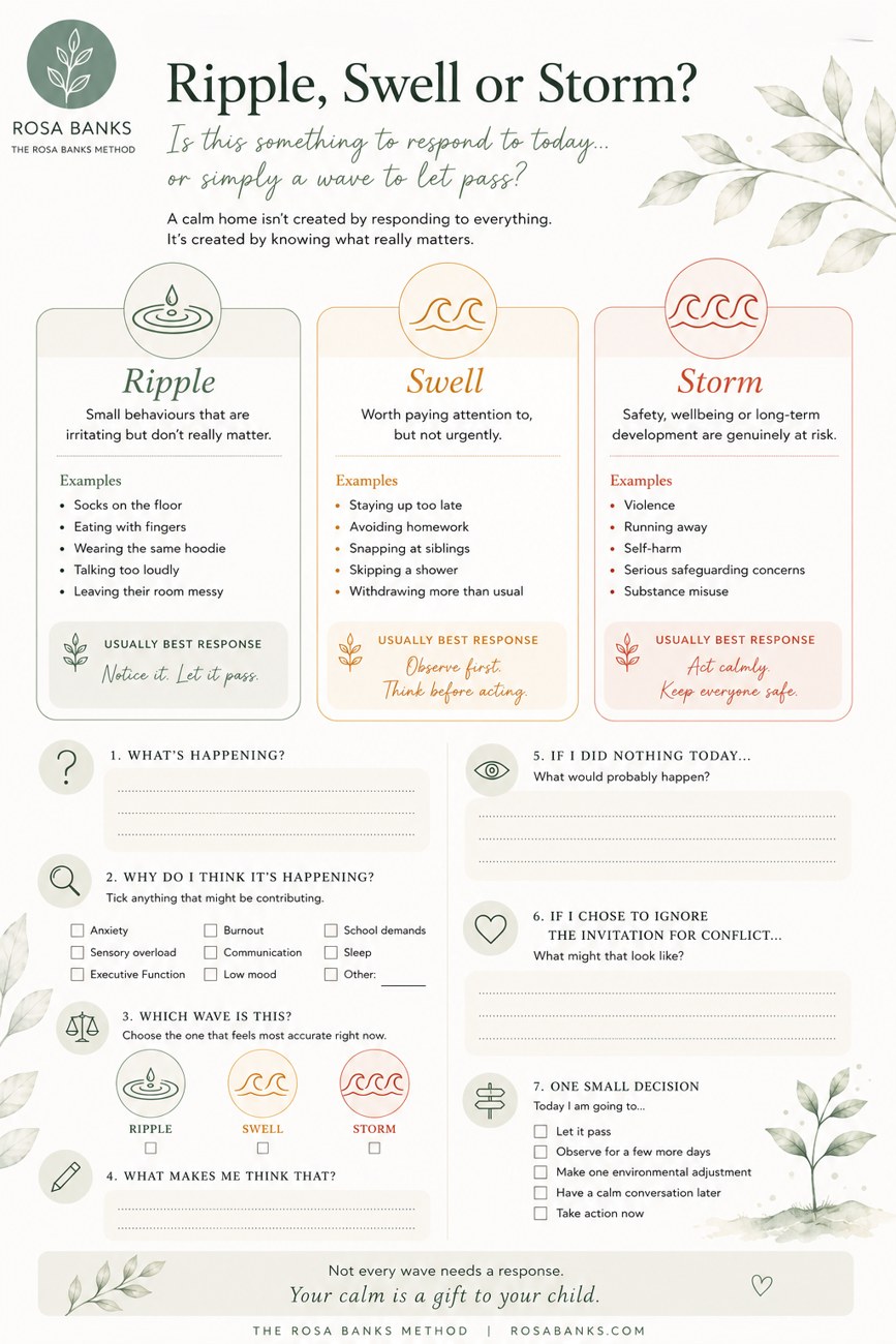 Ripple, Swell or Storm? worksheet — full preview