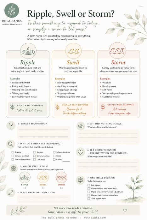 Ripple, Swell or Storm? worksheet preview